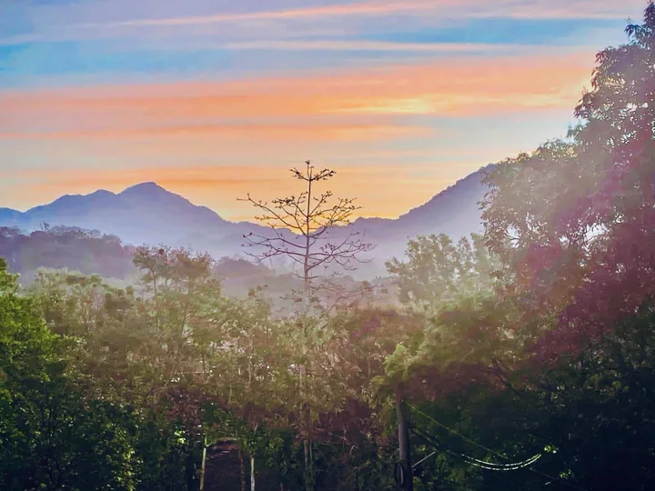 Warm morning light and mist over the hills and tree-covered landscape