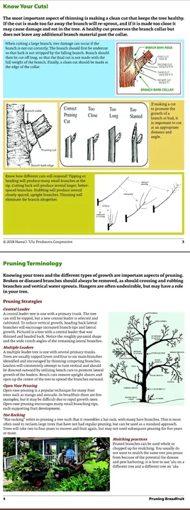 The illustrated pruning reference sheet from the original farm notes