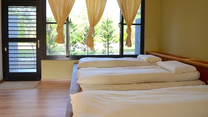 Three beds in a bright shared room with wooden floors and curtained windows